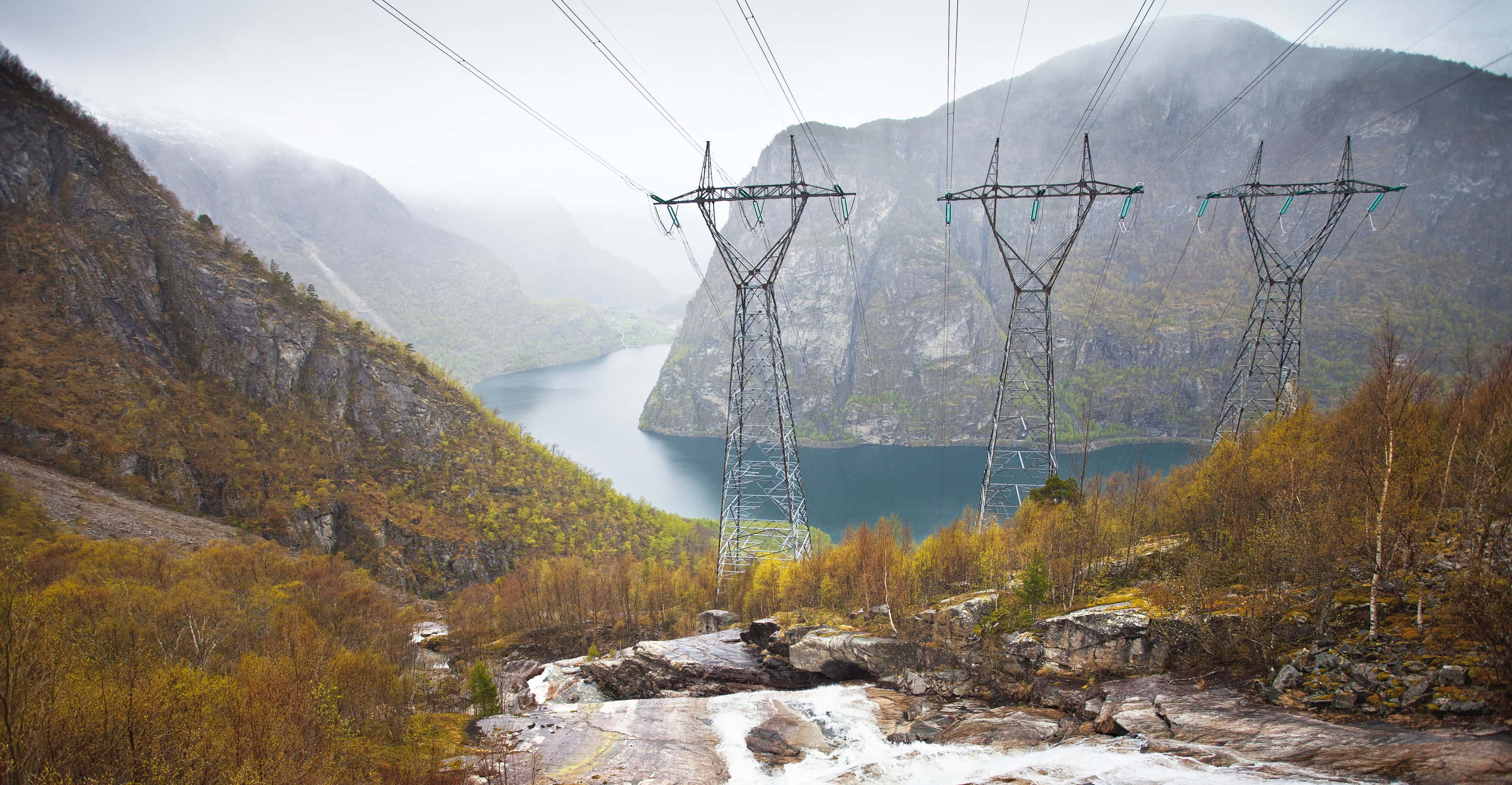 Hero image for Store kraftselskaper